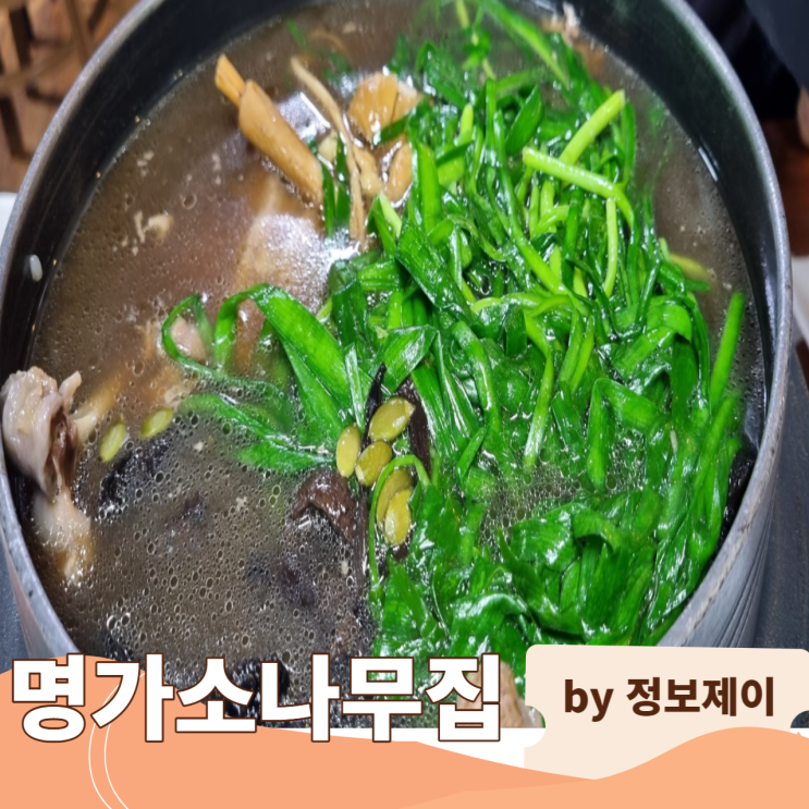  남양주 보양식 오리백숙 맛집 "명가소나무집"