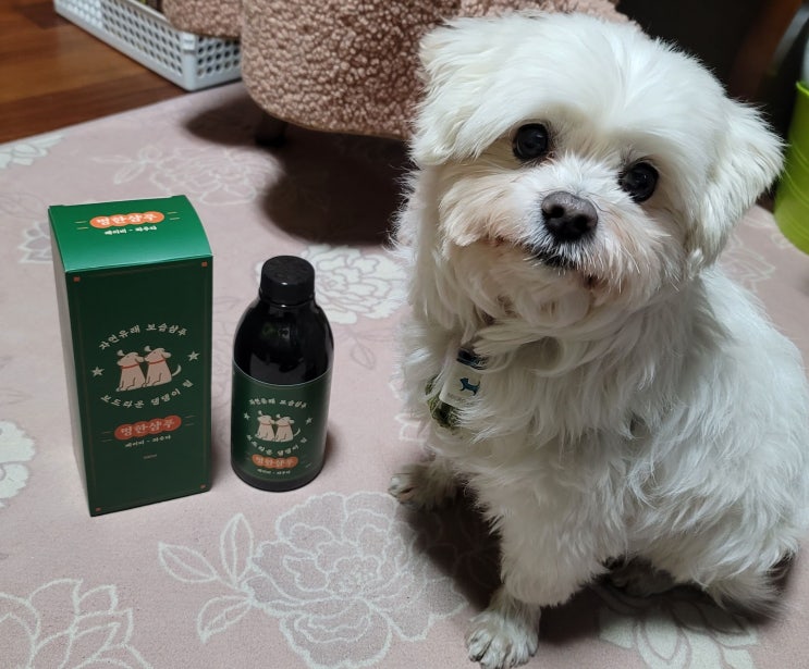  순한 자연유래 성분으로 연약한 우리 아이들 피부를 건강하고 윤기있게! '펫츠굿츠 멍한샴푸' 반려견샴푸 추천!