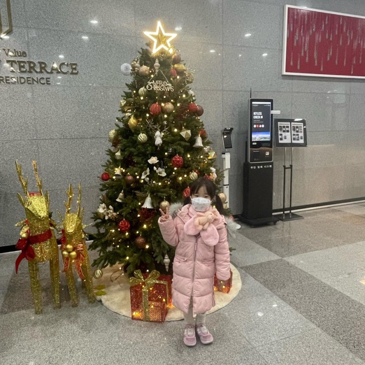  운정호수공원불꽃축제는 파크뷰테라스호텔에서 보세요.