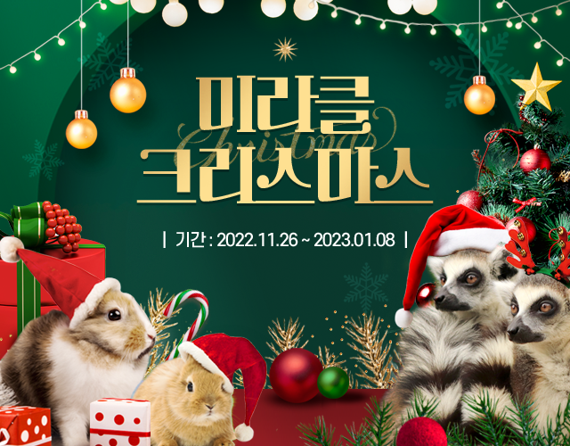  네이처파크 미라클 크리스마스 2022, 대구 크리스마스 축제 기본정보/할인