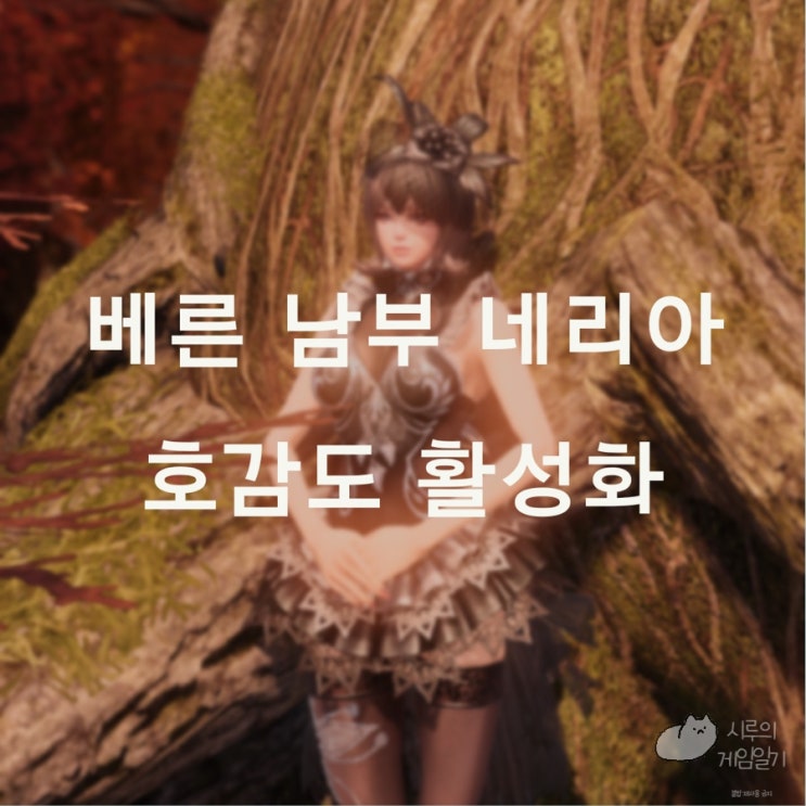  베른 남부 칸다리아 네리아 호감도 활성화 신장개업 로스트아크 로아