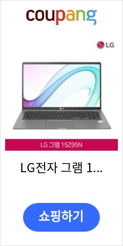 LG전자 그램 15 15Z95N 그레이 11세대 코어i5 램16GB SSD512G 윈10탑재 15형 노트북, WIN10, 16GB,  512GB, 코어i5 1135G7, 블랙 가성