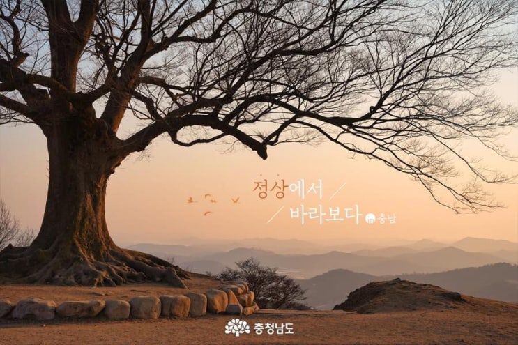 충남 가볼만한곳 정상에서 바라보다 | 충남도청페이스북