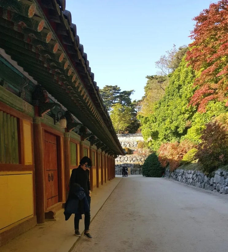 인생에 없는 세 가지:공짜,비밀,그리고 인생에 없는 세 가지:공짜,비밀,그리고