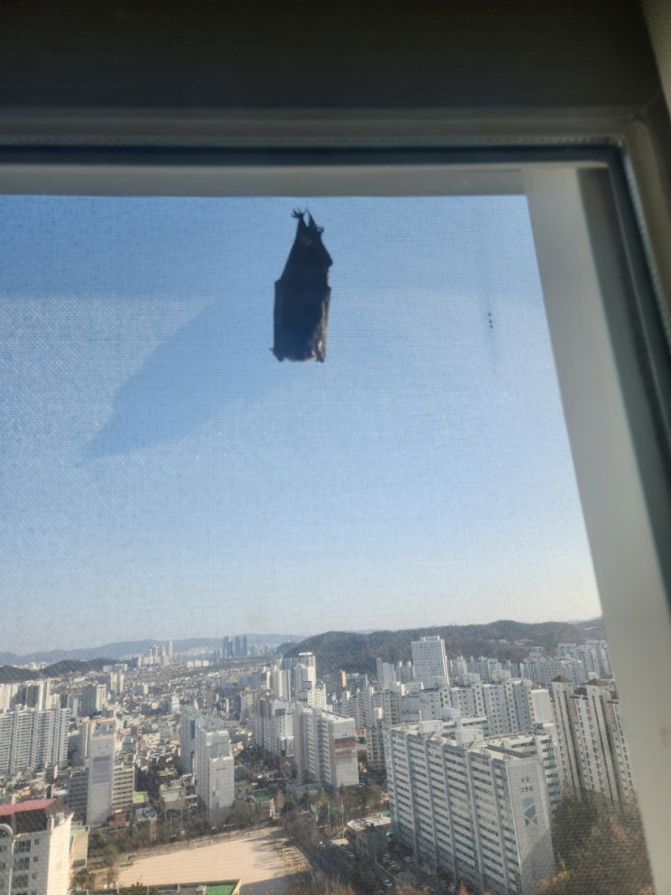  넌 누구니