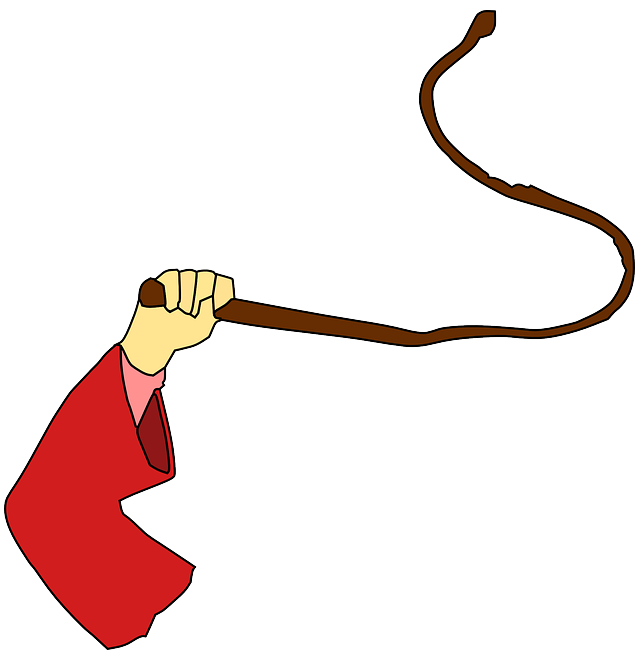  팩트로 두드려 패는 성격 테스트 (팩비티아이 테스트)