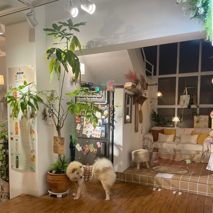 [Cafe] 카페 팜스프링스 신길 브런치 카페 반려동물 동반 가능 카페 영등포 신길역 신림선 근처 카페