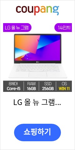 LG 올 뉴 그램 14인치 중고 노트북 14Z980 8세대 Core-i5 RAM 16GB SSD탑재 윈도우11설치 72Wh 배터리 올데이 그램, WIN11 Pro,  256GB,