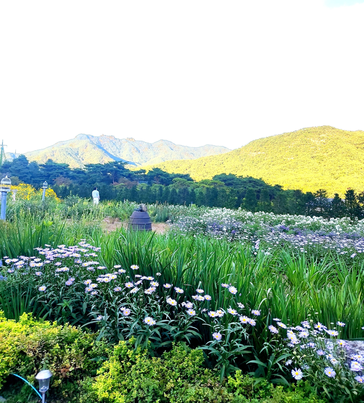  북한산 뷰가 멋진, 포인트 빌 카페 (서울근교,고양)