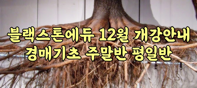  하남경매학원 12월수강 블랙스톤에듀 경매기초반