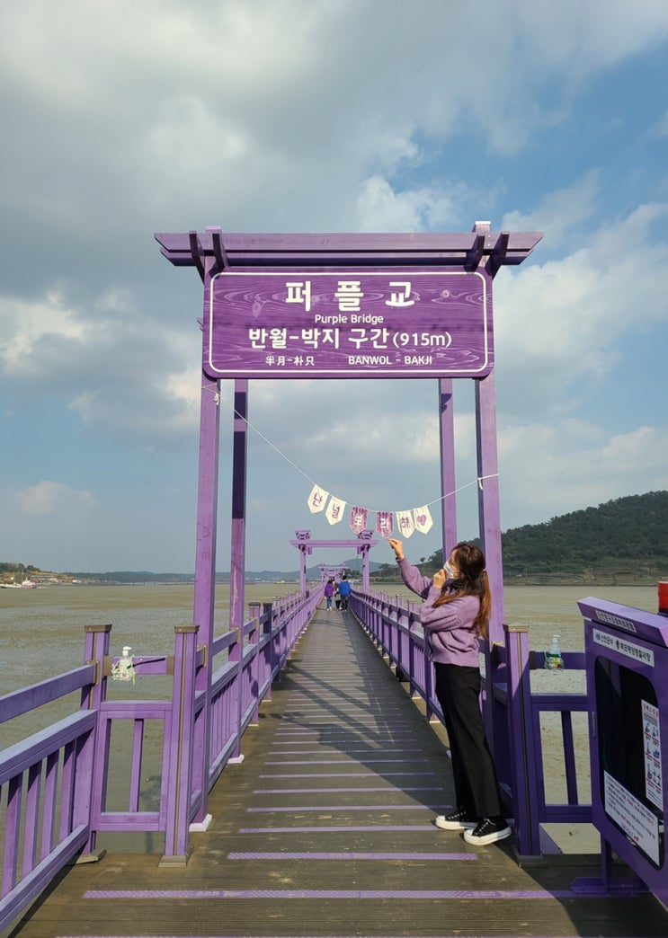  전라도 1박 2일 목포,신안 여행기 :) - 신안편(feat.퍼플섬 정복하기)