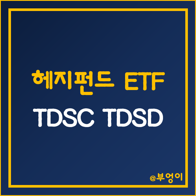 미국 액티브 헤지펀드 ETF - TDSC, TDSD 주가 (ft. S&P 500 지수, MDD)