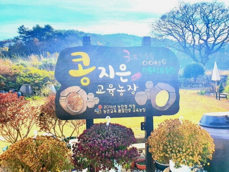  사천시콩지은 매화 장독대 식생활 체험공간 교육농장 인증서 메주만들기 농촌교육농장 체험활동 한과 과자만들기 콩순이 메주