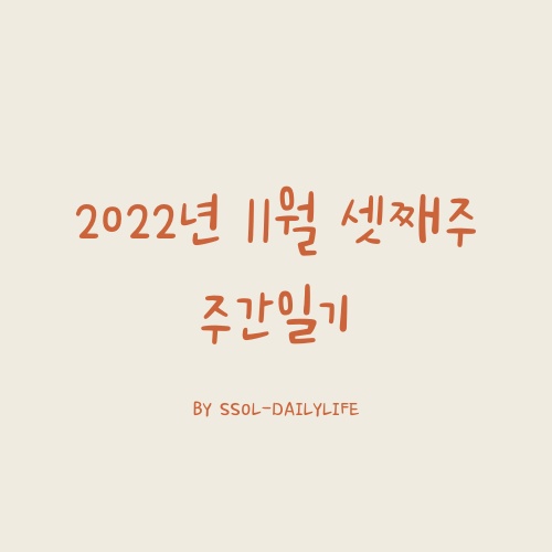  2022년 11월 3주차 주간일기
