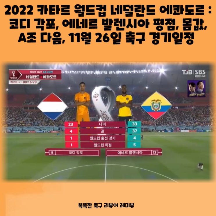 2022 카타르 월드컵 네덜란드 에콰도르 : 코디 각포, 에네르 발렌시아 평점, 몸값, A조 다음, 11월 26일 축구 경기일정 2022 카타르 월드컵 네덜란드 에콰도르 : 코디 각포, 에네르 발렌시아 평점, 몸값, A조 다음, 11월 26일 축구 경기일정