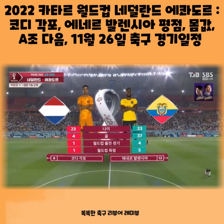 2022 카타르 월드컵 네덜란드 에콰도르 : 코디 각포, 에네르 발렌시아 평점, 몸값, A조 다음, 11월 26일 축구 경기일정