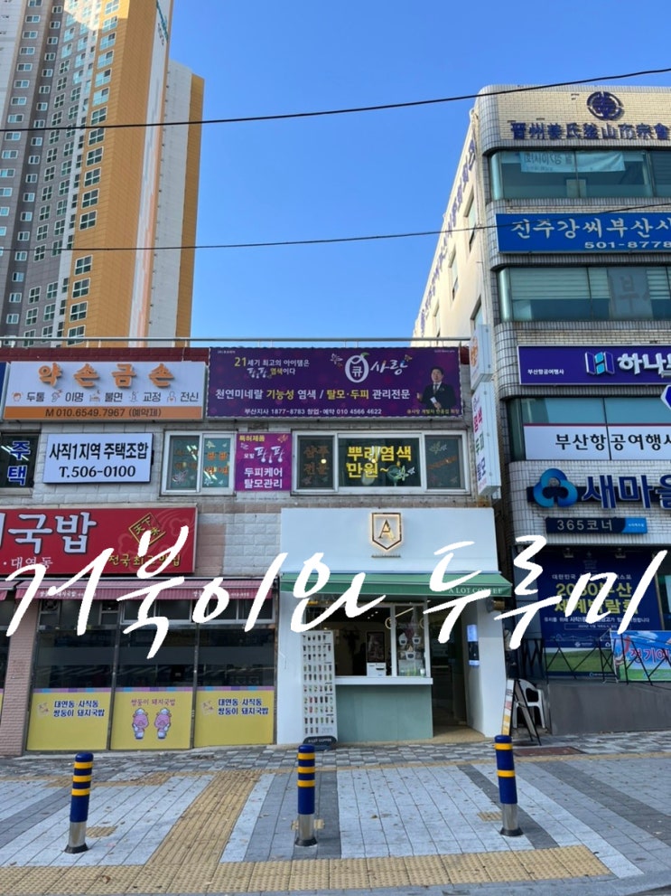  부산 탈모관리 시작은 사직동 동래 염색 전문점 "큐사랑" 부산지사 두피관리는 동래 큐사랑