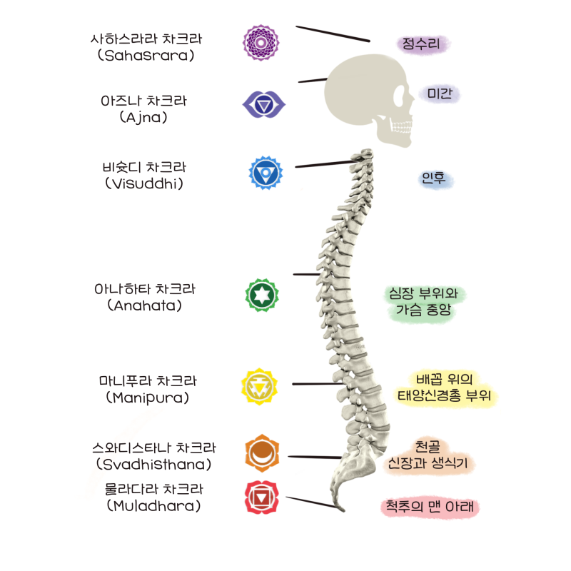 요가 명상을 위한 차크라 공부 : 네이버 블로그