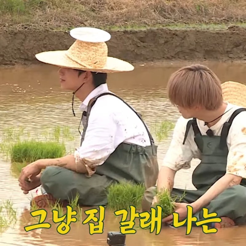 세븐틴]세븐틴 고잉세븐틴 짤 모음 : 네이버 블로그