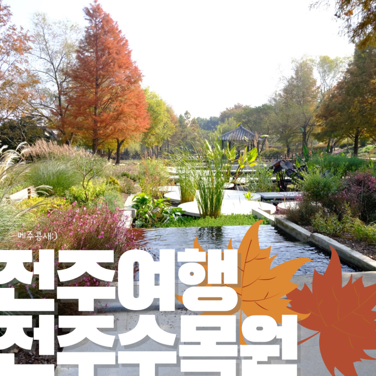 광주근교데이트 기분좋은 가을 풍경 :: 한국도로공사 전주 수목원