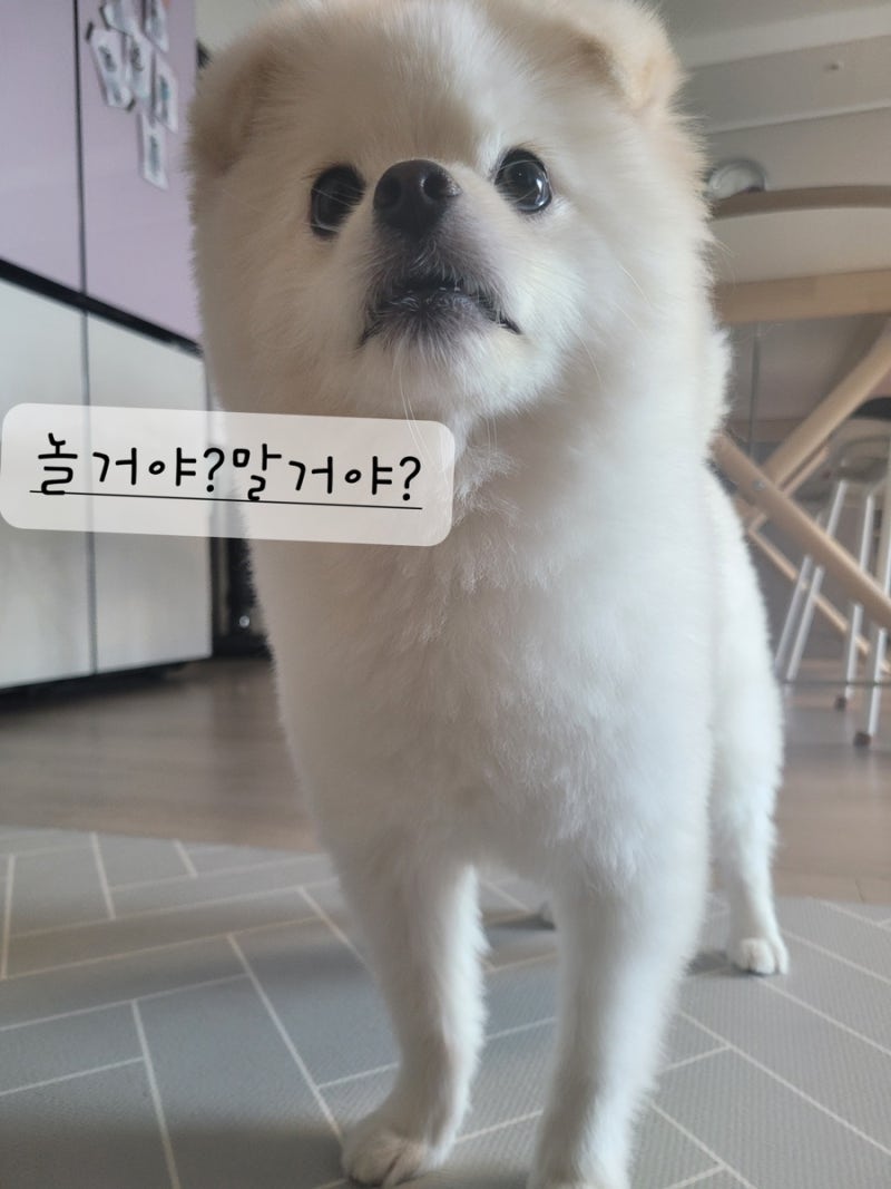 11월 넷째주 일기 : 네이버 블로그