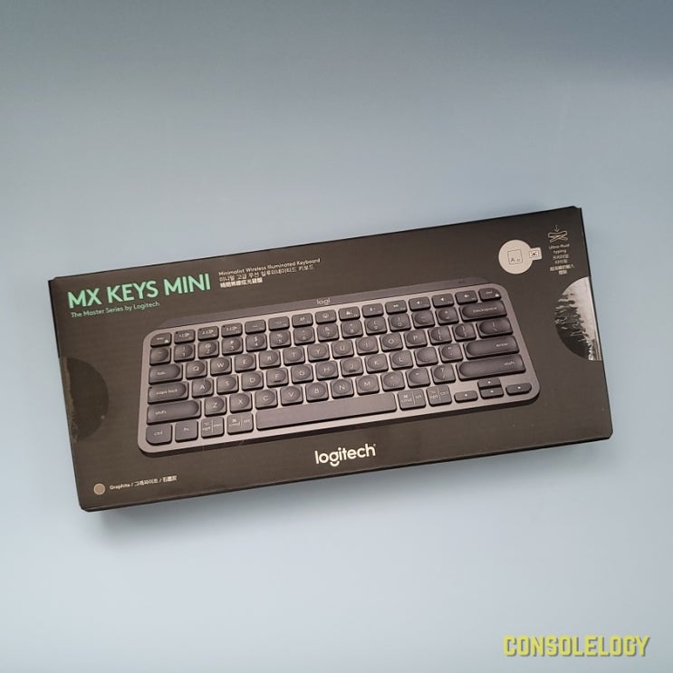  로지텍 MX KEYS MINI 롱 텀 사용기