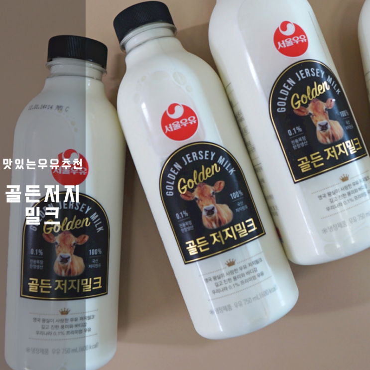 맛있는 서울우유 프리미엄 골든 저지밀크 칼로리