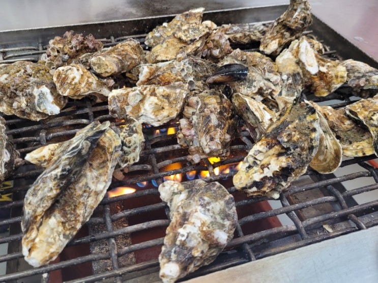 겨울 굴철 보령 천북굴단지: 굴구이, 굴찜 맛집 가득한 곳