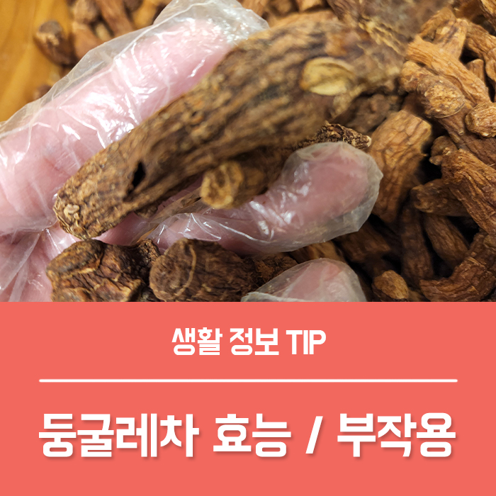  둥굴레차 효능 BEST5 둥굴레차 부작용은?