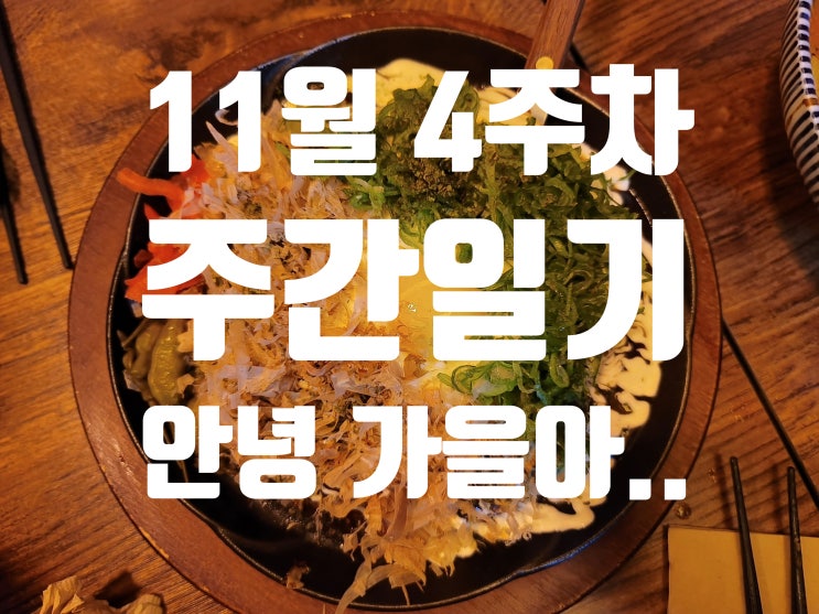  11월 4주차 주간일기 안녕~ 가을아 안녕? 겨울아