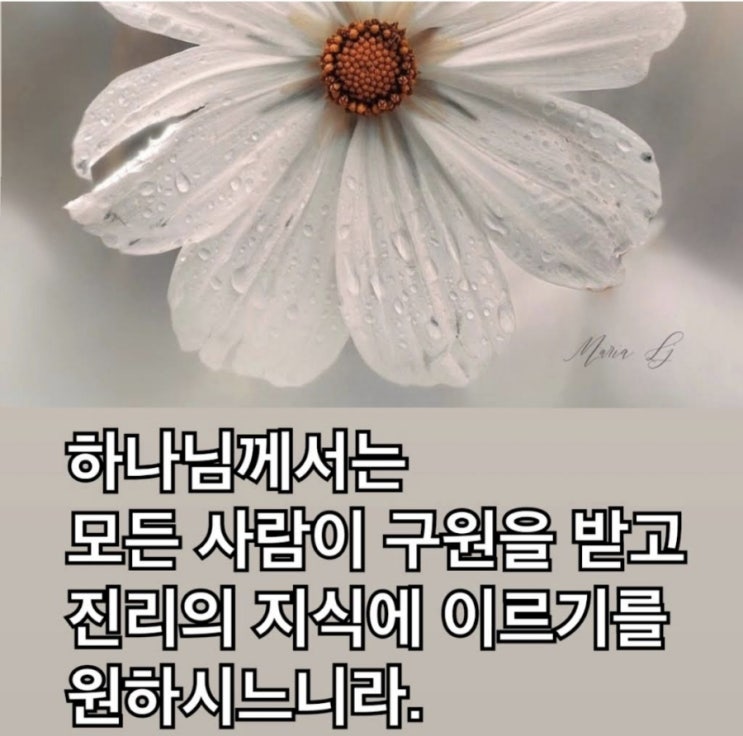 11월 마지막 주 예배 참석, 죄책감에 시달린다면