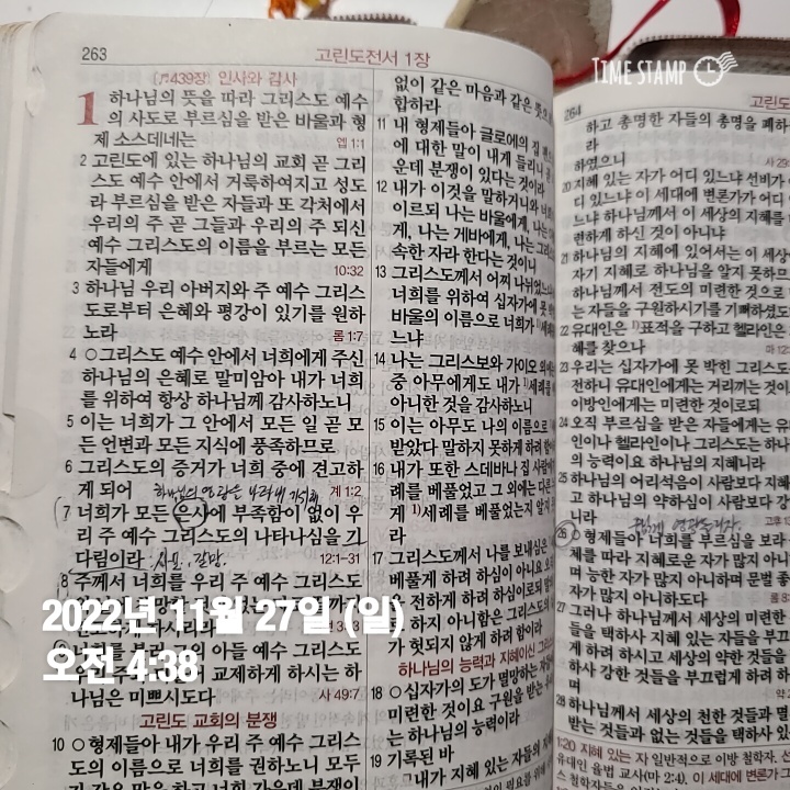  11월 인왕상에서 플로깅-330