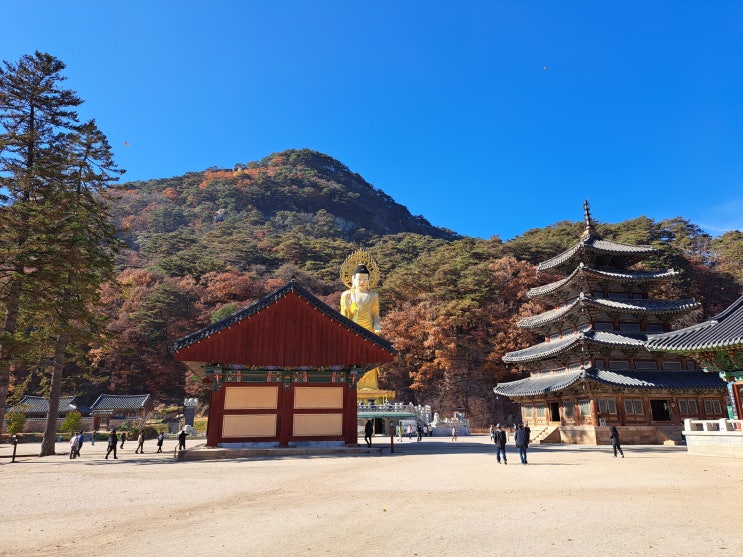 속리산 법주사 (충북 보은)