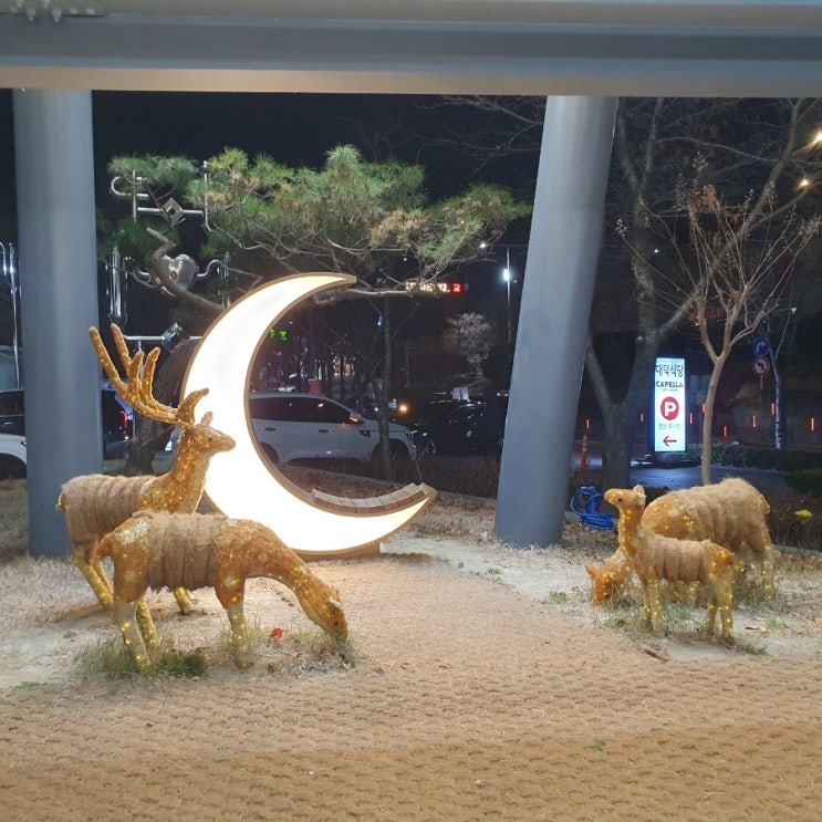 대구 앞산 분위기 좋고 주차장 넓은 대형 베이커리 카페 카펠라(CAPELLA) 대구 앞산 분위기 좋고 주차장 넓은 대형 베이커리 카페 카펠라(CAPELLA)