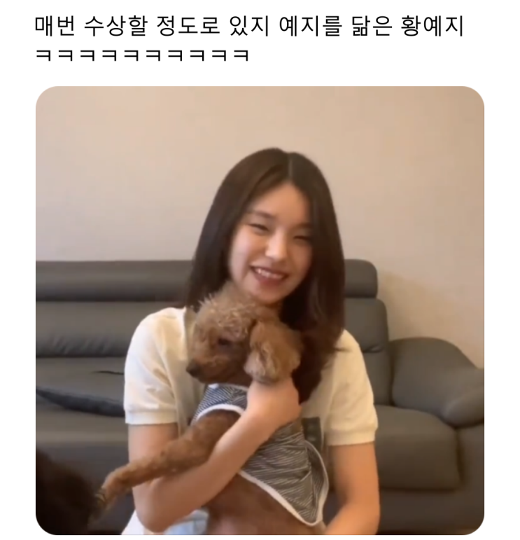  있지 예지 닮았다 소리 듣는 예지.jpg