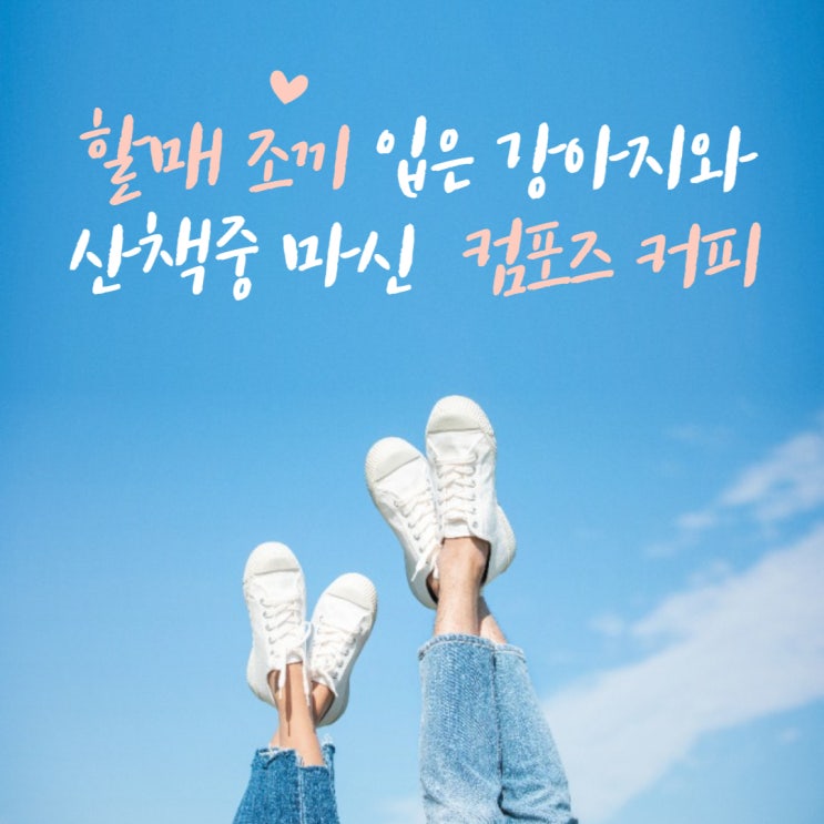  강아지 김장조끼 할매조끼 산책중 마신 컴포즈 커피