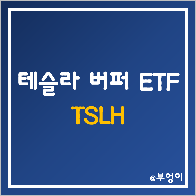 테슬라 주가하락에 대비한 버퍼 액티브 ETF - TSLH (미국 TSLA 주식 투자 관련주) 테슬라 주가하락에 대비한 버퍼 액티브 ETF - TSLH (미국 TSLA 주식 투자 관련주)