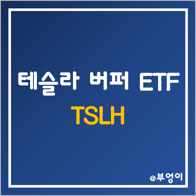 테슬라 주가하락에 대비한 버퍼 액티브 ETF - TSLH (미국 TSLA 주식 투자 관련주)