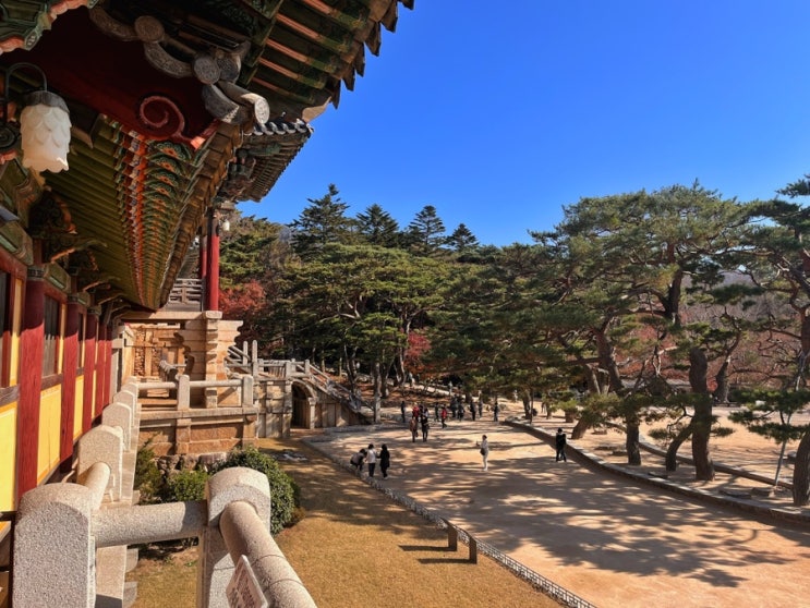  경주 데이트 코스,  불국사에서 만난 가을 경주