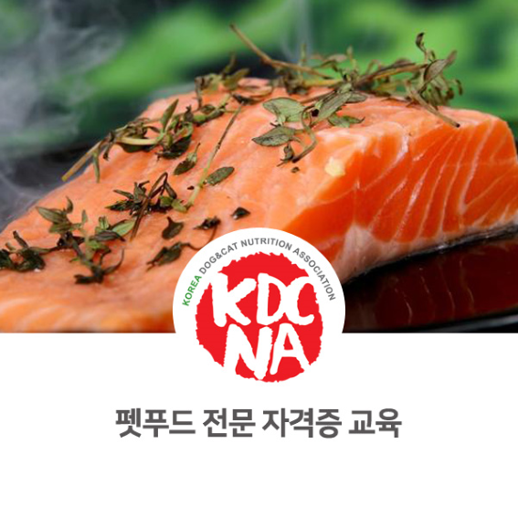  최수연펫푸드아카데미 반려동물영양전문강사 커리큘럼 안내 [한국반려동물영양협회/펫푸드자격증/펫푸드학원/사료/수원/안양/평택_1041]