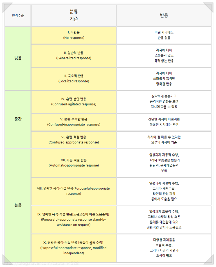 신경계 평가척도 : 브룬스트롬 회복단계(Brunnstrom recovery stage, BRS), ASIA 장애척도, 란초로스 아미고스 인지기능 수준척도(LCFS)