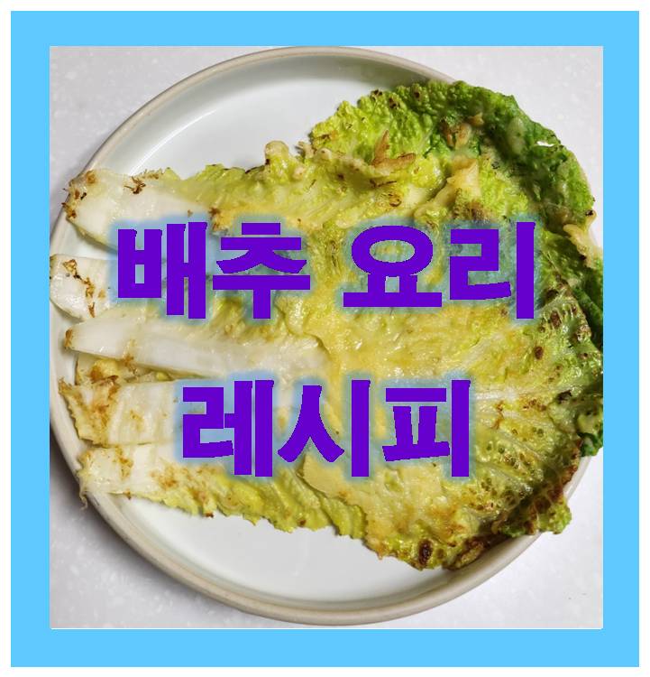  배추 요리 레시피 추천, 김치 말고 '메인 요리'로 즐기는 법