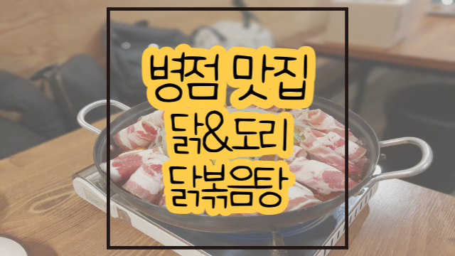  병점 닭도리탕 맛집 / 닭&도리 닭볶음탕 차도리탕