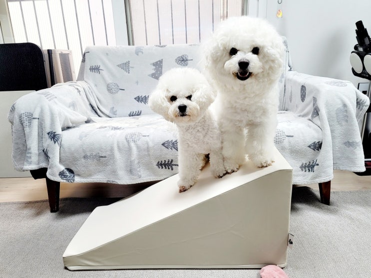  반려동물 계단 추천! 도그라피 관리 쉬운 강아지 슬라이드 굿