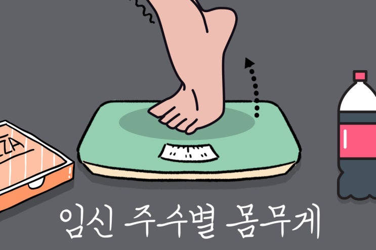  임신 주수별 몸무게 계산기로 체중 관리