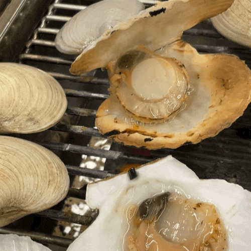  대전송촌동맛집 [청춘무한리필조개구이] 산지직송 조개를 무한으로 ! +고기무한+시간무제한+사이드무한