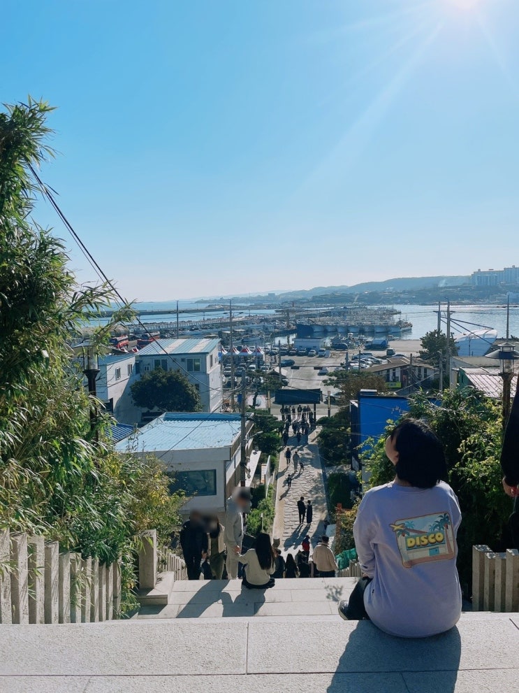 포항 여행)구룡포 일본인가옥거리+드라마 '동백꽃 필무렵' 촬영지 가봤어요! 포항 여행)구룡포 일본인가옥거리+드라마 '동백꽃 필무렵' 촬영지 가봤어요!