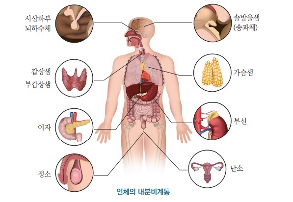 피로이야기(7), 피로사회 속 참된 쉼과 기분좋은 피로의 의미