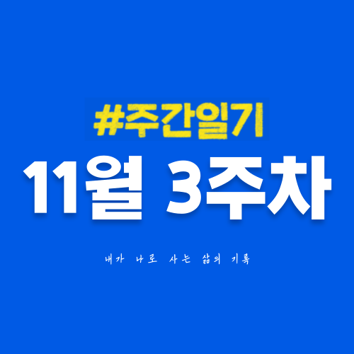 11월 3주차 | 잠시 쉬어가는 한 주