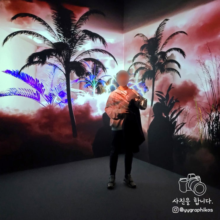  [전시] 코카콜라 제로 드림월드 팝업 <코카콜라 크리에디션 x 아르떼뮤지엄>